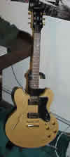 Matt's Epiphone 335